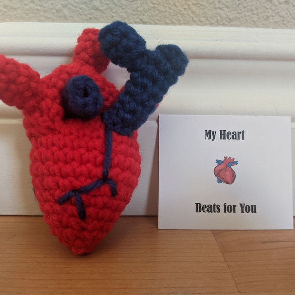 Anatomical Heart Plush Etsy