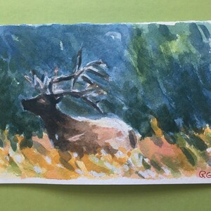 Cartão em branco aquarela ORIGINAL, pintura Bull Elk Bugling. Não é uma impressão.
