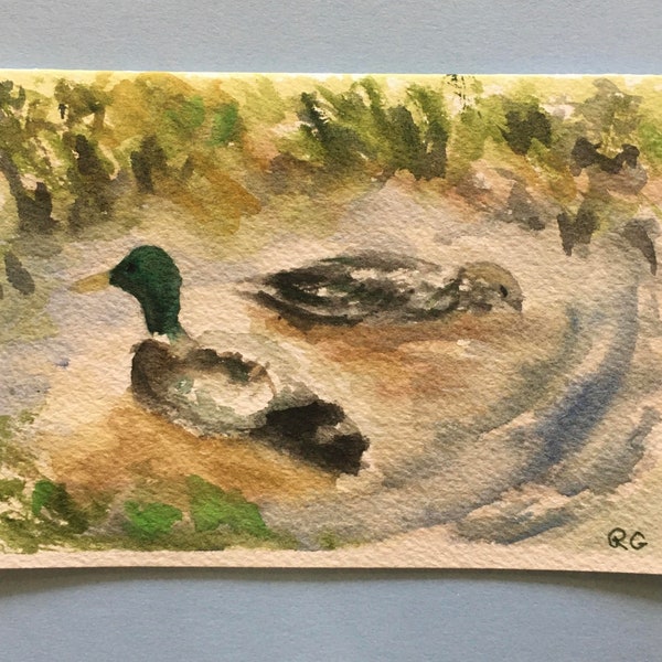 Carte vierge aquarelle ORIGINALE, paire de canards colverts. Pas une impression.