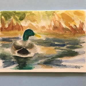 Carte vierge aquarelle originale. Peinture de canard colvert. Pas une impression
