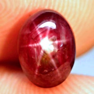 May include: A deep red oval cabochon gemstone featuring a prominent six-rayed star effect known as asterism. The surface is smooth and polished, displaying a rich crimson hue with a bright white light reflection centered on the star pattern.