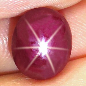 May include: A deep magenta star ruby gemstone with a smooth, polished cabochon cut. The stone displays a distinct six-rayed star effect, known as asterism, which appears as a bright white light reflecting in a cross pattern across the surface.