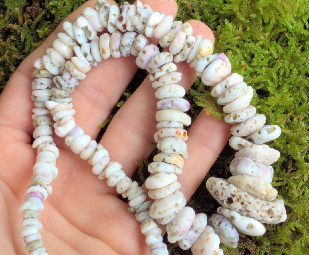 389.35 Tcw. Hawaiian Large Puka Shell Necklace - Etsy