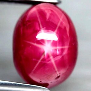 May include: A vibrant, oval-shaped cabochon star ruby gemstone featuring a distinct six-rayed asterism effect that radiates from the center. The deep red stone has a smooth, polished surface and is held by a metallic tool at the top and bottom.