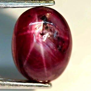 May include: A deep red oval cabochon gemstone featuring a visible six-rayed star effect known as asterism. The stone displays translucent areas with dark inclusions and is held by a metallic tool at the top and bottom edges.