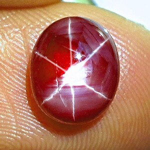 May include: A deep red oval cabochon gemstone featuring a distinct six-rayed star effect known as asterism. The surface is smooth and polished, displaying a rich crimson hue with a bright white light reflection forming a star pattern across the center.