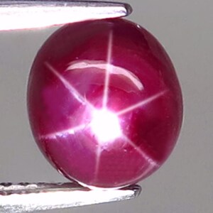 May include: A polished, oval-shaped ruby gemstone with a six-ray star effect. The gem is a deep, rich red color with a bright, white star pattern radiating from the center. The ruby is held by a pair of metal tweezers.