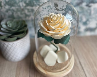 Paper Rose Anniversary gift in Wooden Bell Jar. First anniversary, wedding gift