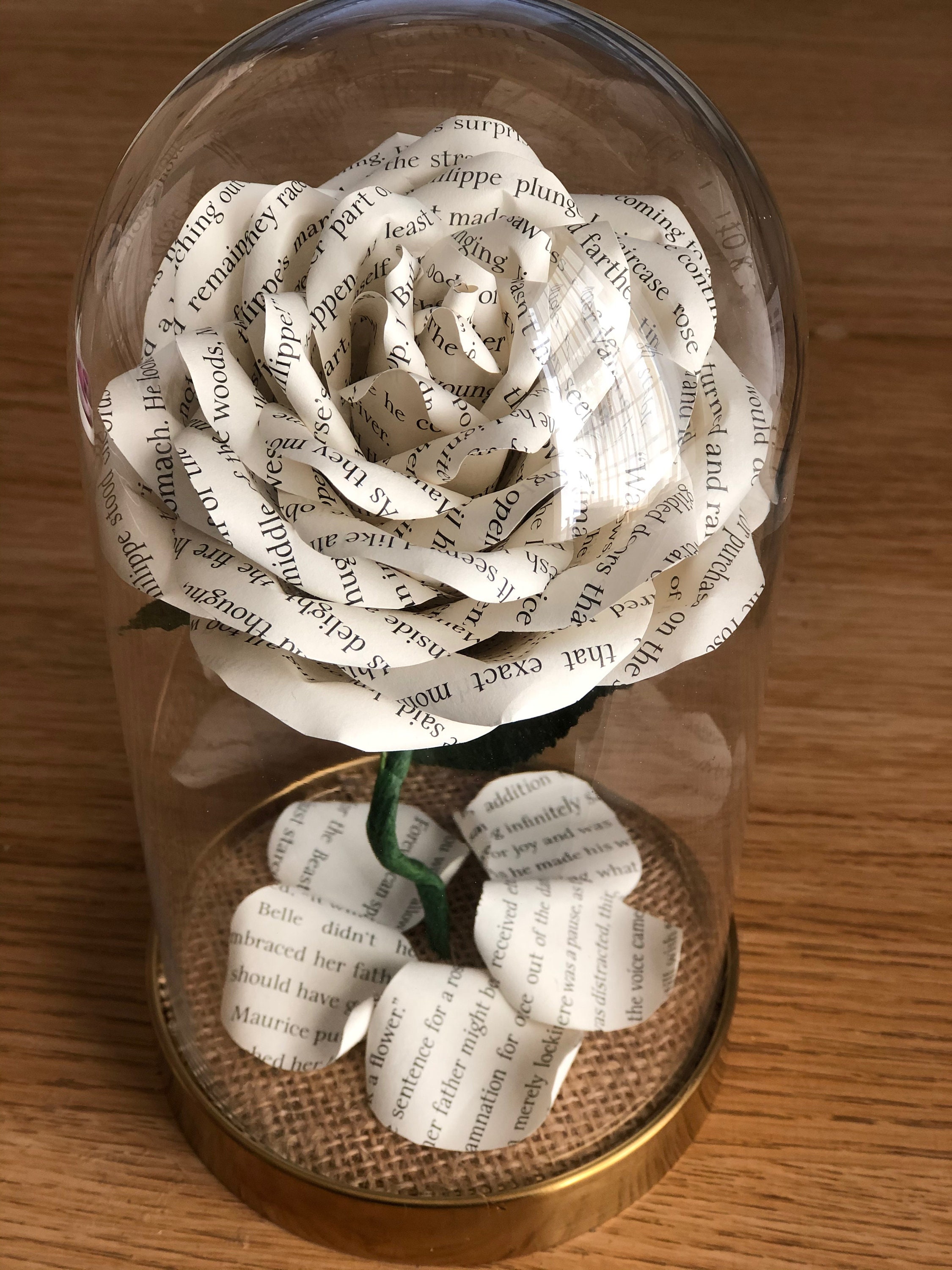 Paper Rose in a bell jar Anniversary gift Wedding Gift Etsy