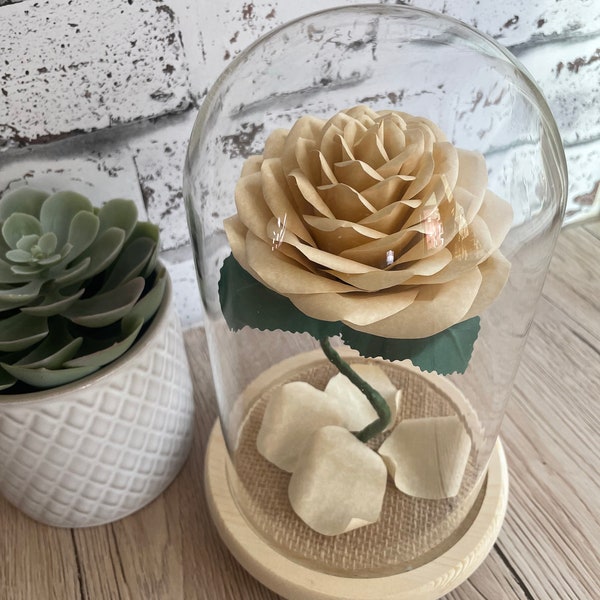 Paper Rose Anniversary gift in Wooden Bell Jar. First anniversary, wedding gift