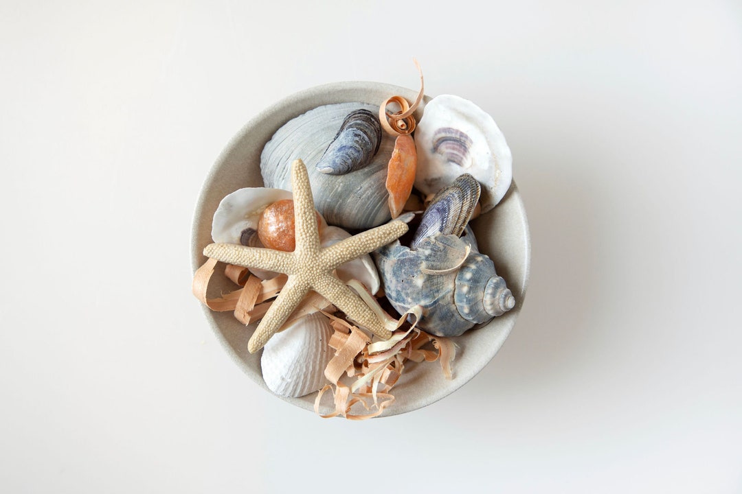 Beach Potpourri Shell and Driftwood Potpourri Potpourri Etsy