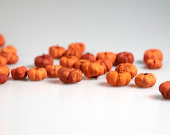 Putka Pods, Mini Pumpkin Decor, Orange Putka Pods, Bowl Filler, Dried Little Pumpkins, Fall Decor