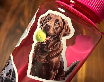 Chocolate Lab Sticker - Pet Stickers - Waterproof Stickers - Water Bottle Sticker - Dog Sticker Lab - Chocolate Lab - Hydroflask Sticker