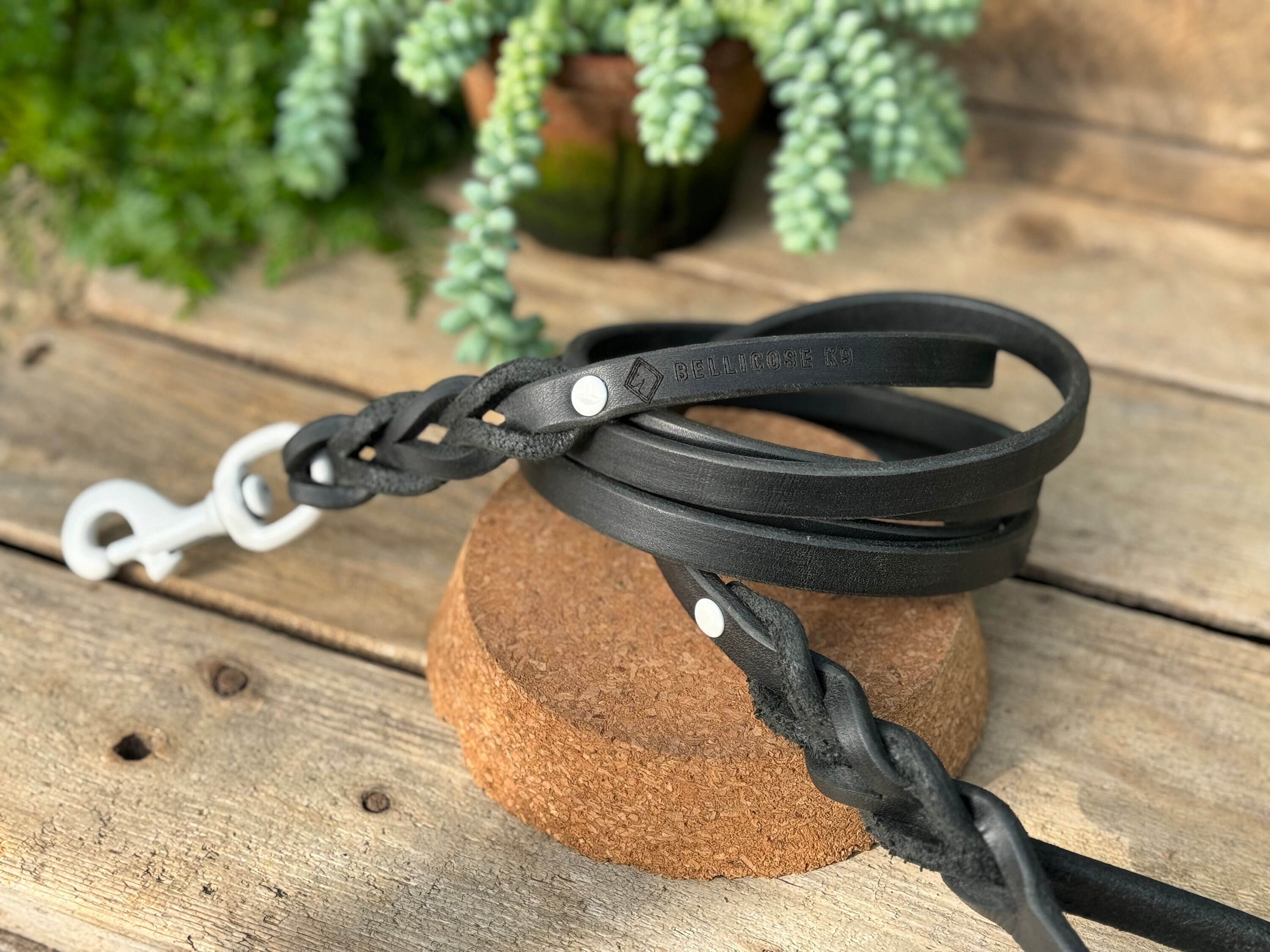 BellicoseK9