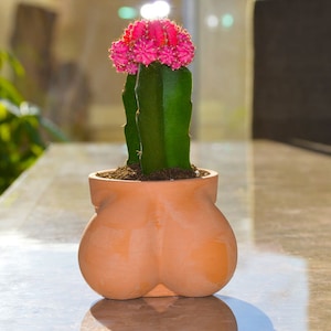 Ball Pot Planter for Cactus & Succulents, Funny Cactus Pot, Terracocktus, Gift Idea for Plant Lover, Housewarming image 2