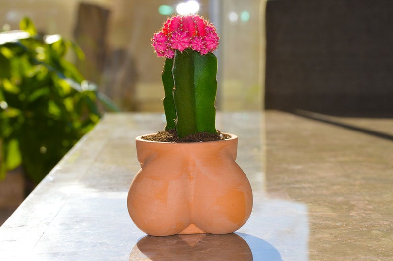 Ball Pot Planter for Cactus & Succulents, Funny Cactus Pot, Terracocktus, Gift Idea for Plant Lover, Housewarming image 2