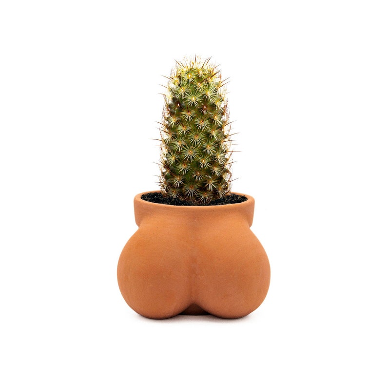 Ball Pot Planter for Cactus & Succulents, Funny Cactus Pot, Terracocktus, Gift Idea for Plant Lover, Housewarming image 6