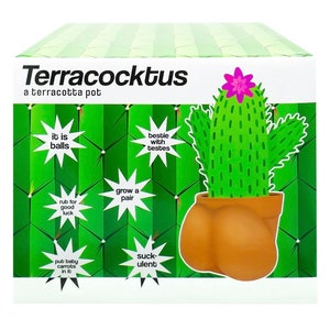 Ball Pot Planter for Cactus & Succulents, Funny Cactus Pot, Terracocktus, Gift Idea for Plant Lover, Housewarming image 9