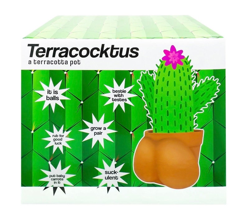Ball Pot Planter for Cactus & Succulents, Funny Cactus Pot, Terracocktus, Gift Idea for Plant Lover, Housewarming image 9