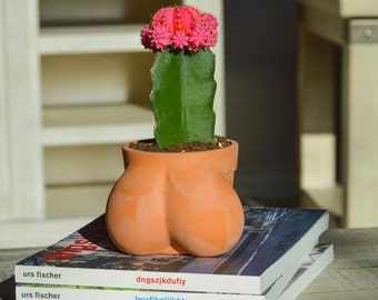 Ball Pot Planter for Cactus & Succulents, Funny Cactus Pot, Terracocktus, Gift Idea for Plant Lover, Housewarming