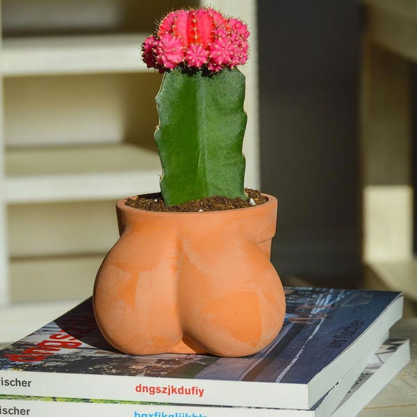 Vaso per fioriera a sfera per cactus e piante grasse, divertente vaso per cactus, Terracocktus, idea regalo per gli amanti delle piante, inaugurazione della casa