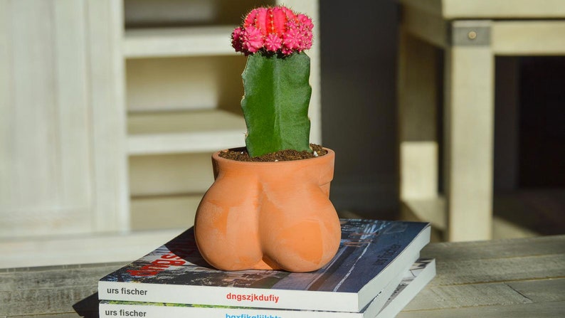 Ball Pot Planter for Cactus & Succulents, Funny Cactus Pot, Terracocktus, Gift Idea for Plant Lover, Housewarming image 1