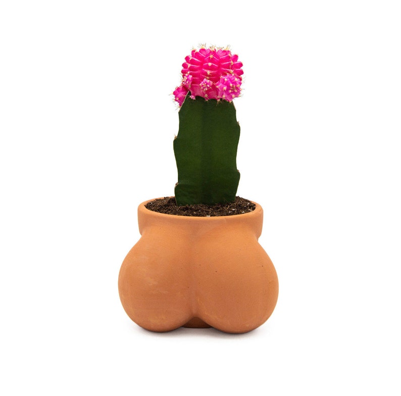 Ball Pot Planter for Cactus & Succulents, Funny Cactus Pot, Terracocktus, Gift Idea for Plant Lover, Housewarming image 7