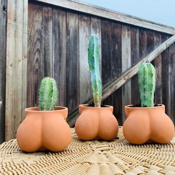 Terracocktus Ball Pot Planter für Kaktus & Sukkulenten, Muttertag, Lustiger Kaktus-Topf, Housewarming Geschenk für Pflanzenliebhaber