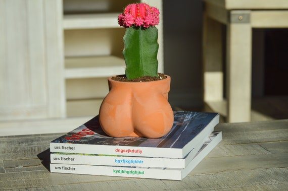 Opa regeling canvas Ball Pot Planter for Cactus & Succulents Funny Cactus Pot - Etsy