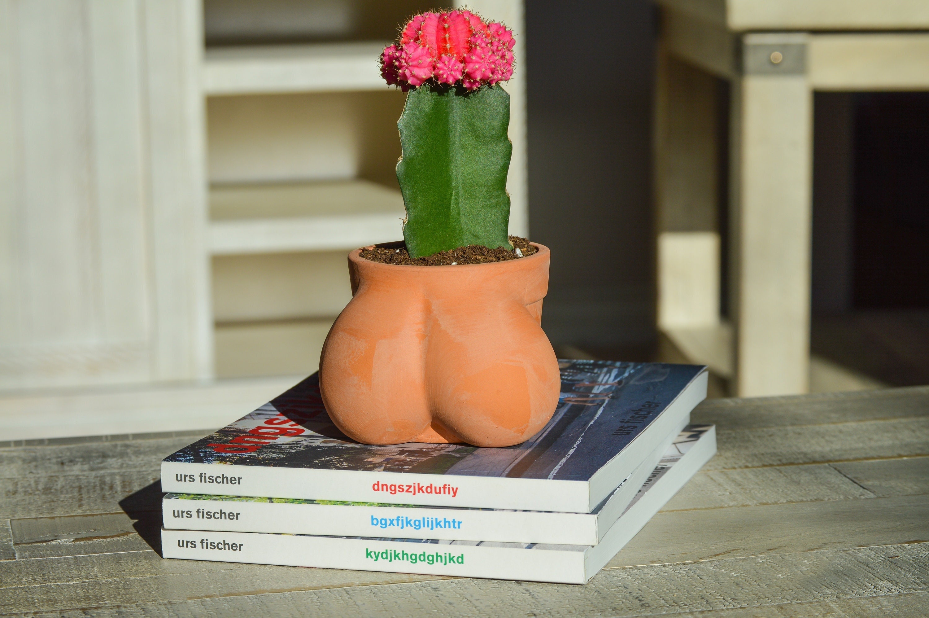 Continentaal Zeldzaamheid vervagen Ball Pot Planter for Cactus & Succulents Funny Cactus Pot - Etsy