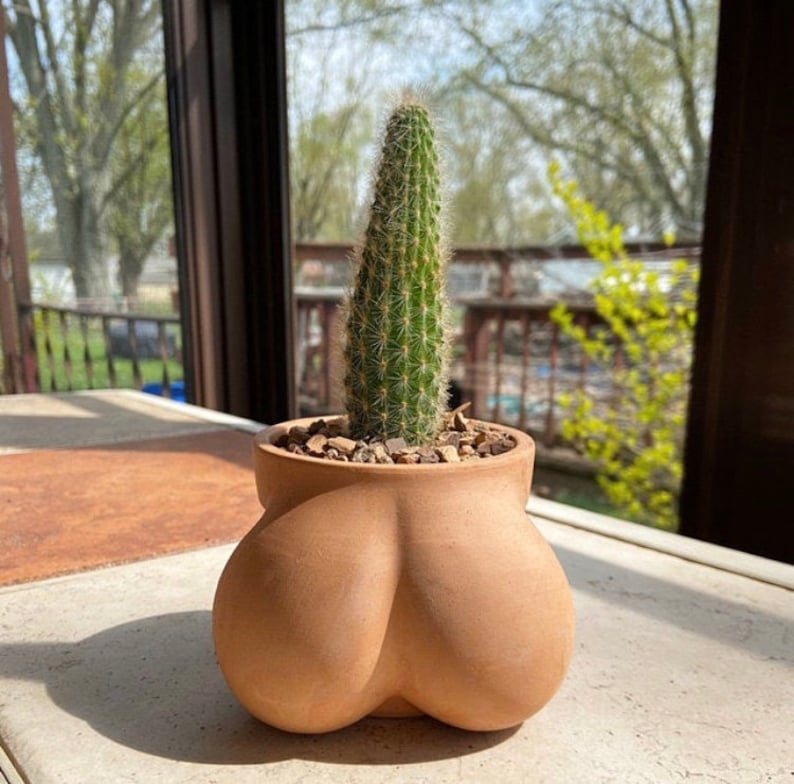 Ball Pot Planter for Cactus & Succulents, Funny Cactus Pot, Terracocktus, Gift Idea for Plant Lover, Housewarming image 4