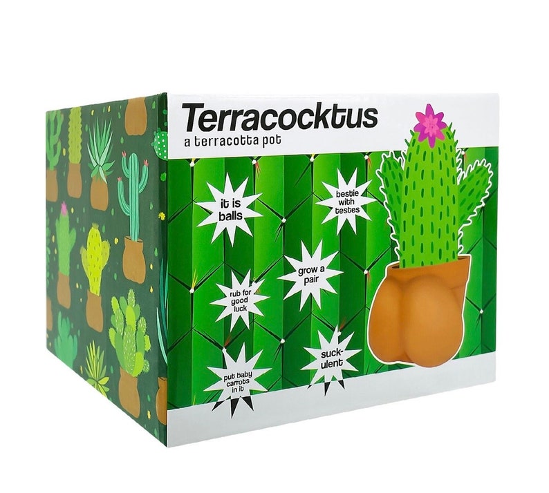 Ball Pot Planter for Cactus & Succulents, Funny Cactus Pot, Terracocktus, Gift Idea for Plant Lover, Housewarming image 8