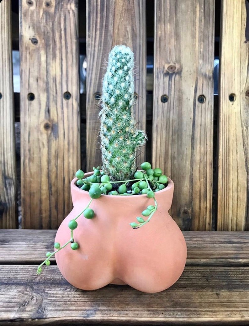 Ball Pot Planter for Cactus & Succulents, Funny Cactus Pot, Terracocktus, Gift Idea for Plant Lover, Housewarming image 3