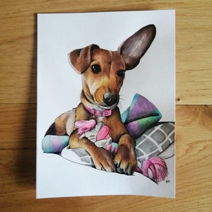 Dog Portraits