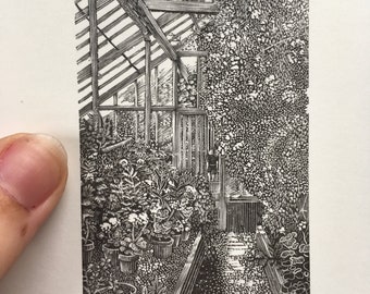 Drummond  Greenhouse- Engraving by Ellie Cliftlands