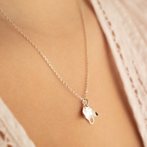Puede incluir: Un collar de cadena de plata con un pequeño colgante abstracto de plata con forma de manta raya.