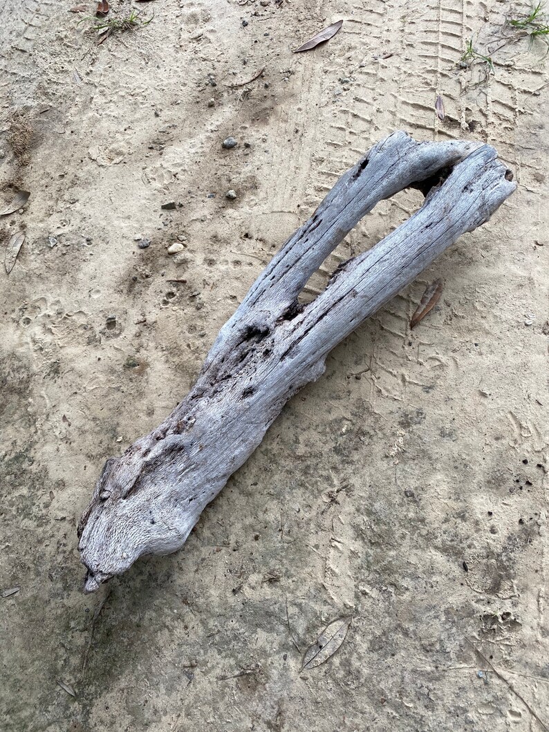 Large Heavy Driftwood Log Decor Etsy