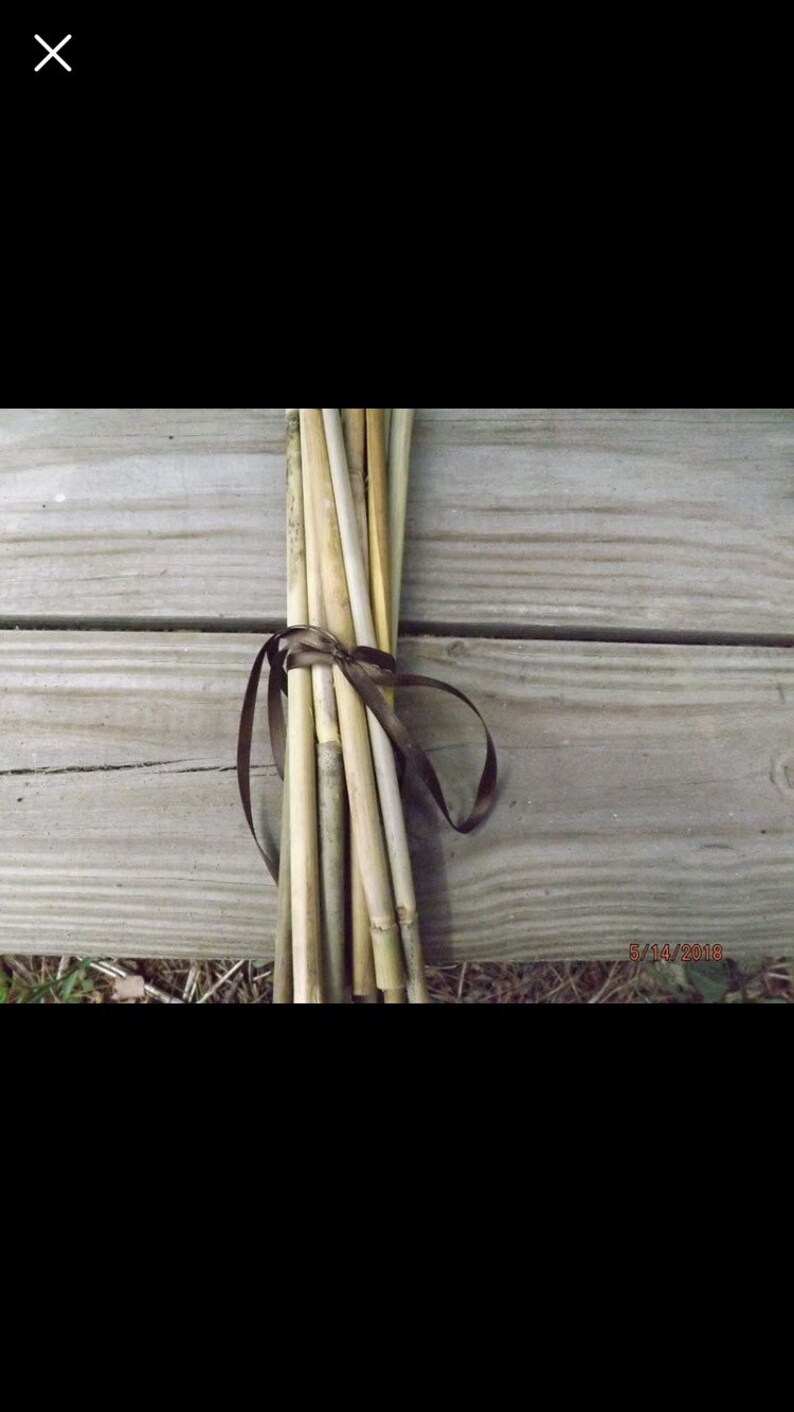 Decorative Bamboo Sticks Etsy