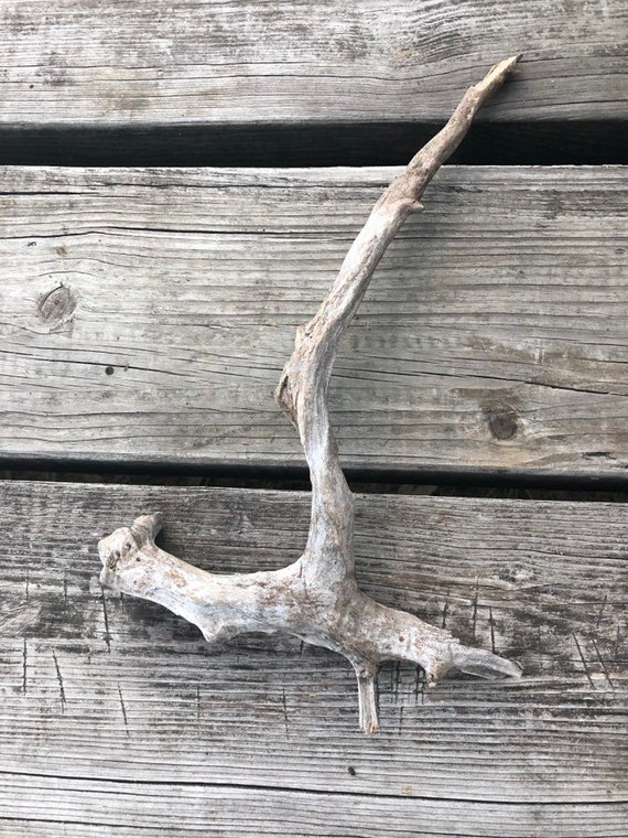 Forked Driftwood Branch Home & Hobby Home Improvement