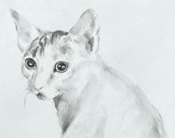 Dessin au fusain portrait de chat, dessin  original au fusain, sur papier. Exemplaire unique fait main. Pour décor mural