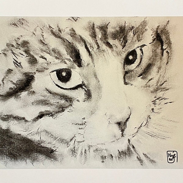 Portrait de chat, impression d’art de mon dessin au fusain, décoration murale. Direct artiste