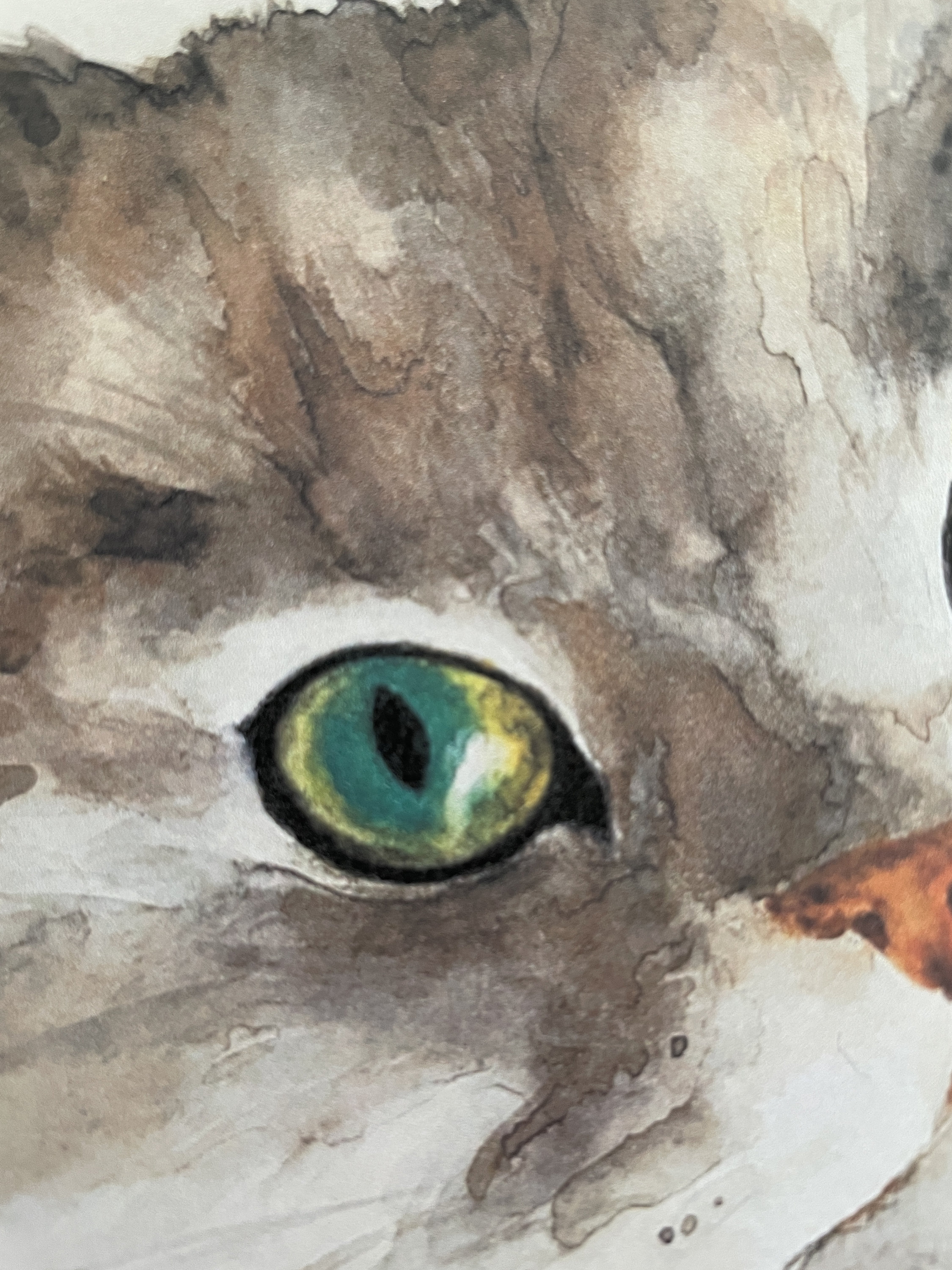 White Persian Cat Painting Art Print of an Original Etsy