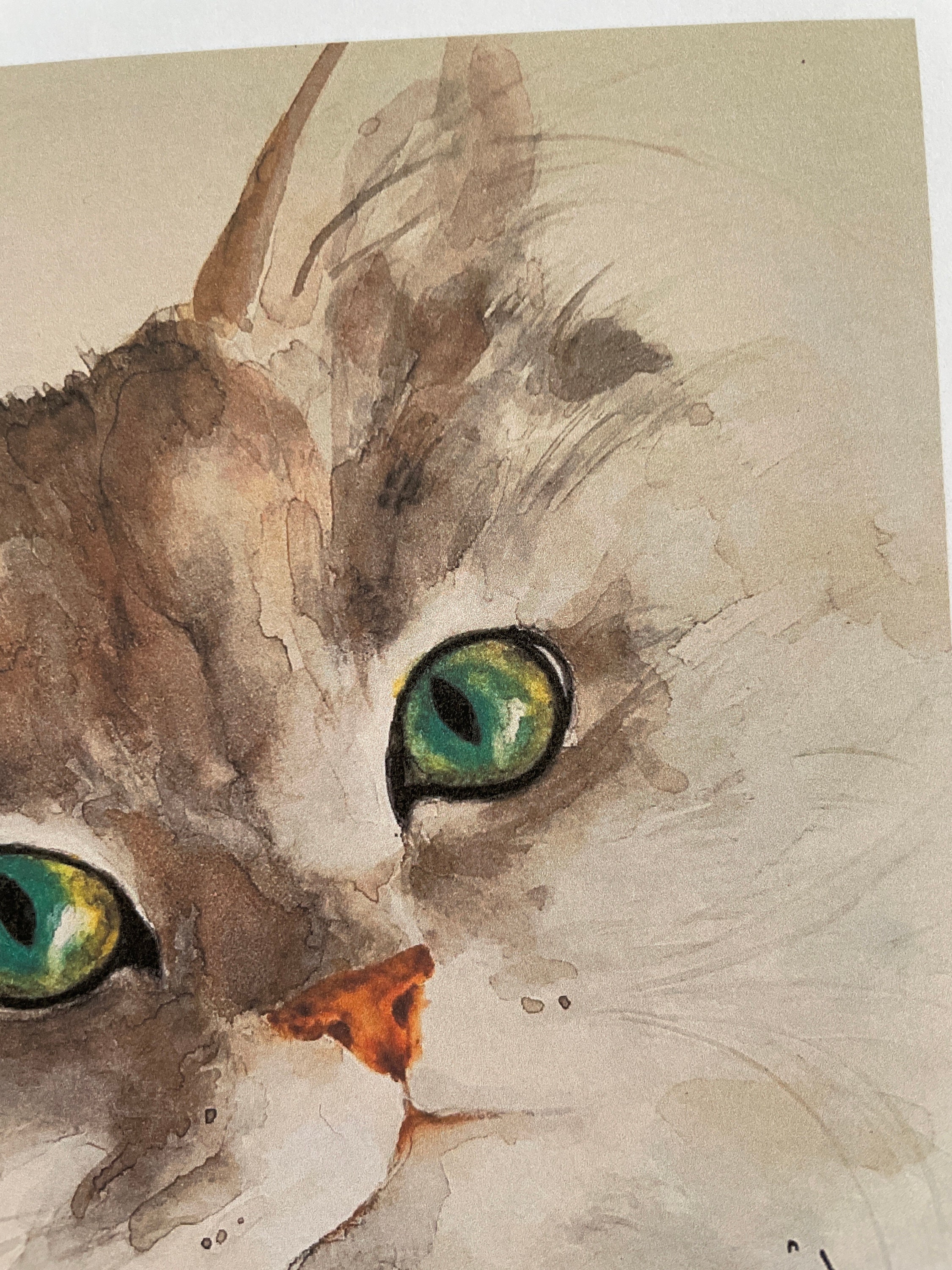 White Persian Cat Painting Art Print of an Original Etsy