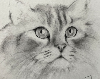 Dessin au fusain portrait de chat, dessin  original au fusain, sur papier. Exemplaire unique fait main. Pour décor mural