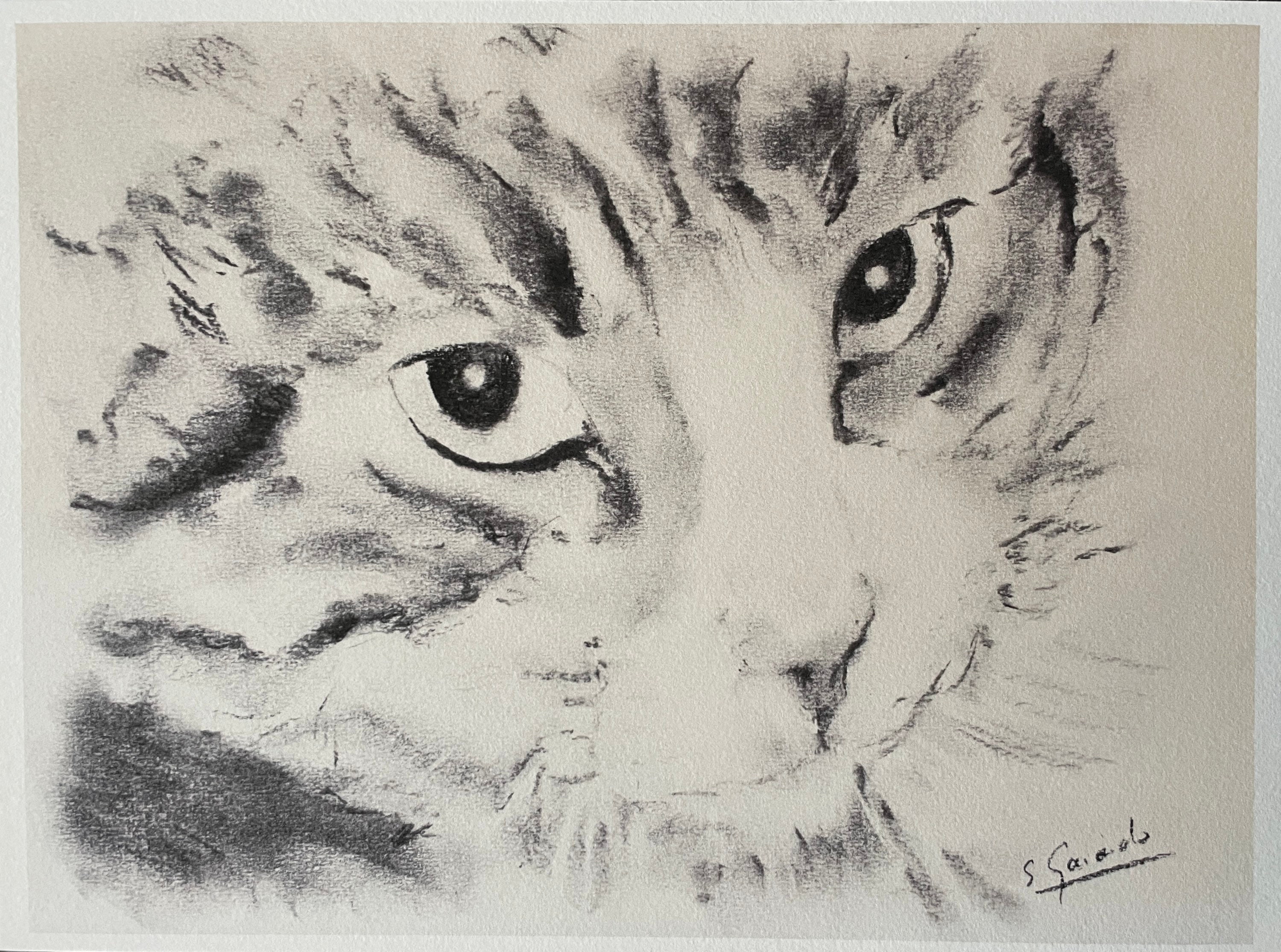 Custom Cat Portrait, Cat Memorial, Charcoal Drawing, Pet Portrait