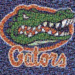 Customized Mosaic Collage Photo - Personalized Birthday, Bar/Bat Mitzvah, Anniversary, Wedding, Sports Fan present
