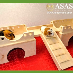 Guinea pig Castle, Wooden castle, house, hideout for Guinea pig, made by AsasWood