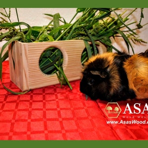 Hay Rack, Hay feeder for bunny rabbit, guinea pig, chinchilla / Made by AsasWood
