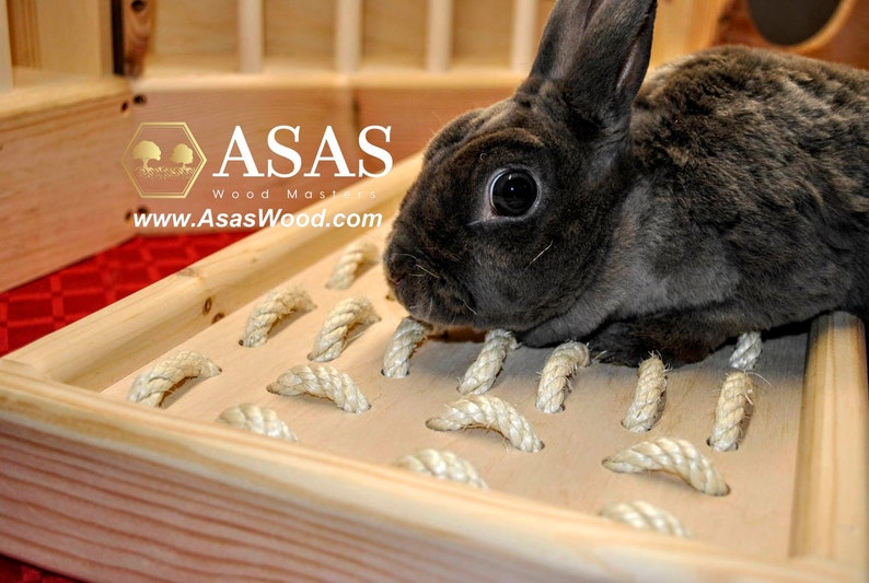 Bunny Rabbit Digging Box Digging Platform Rabbit Toys With Etsy