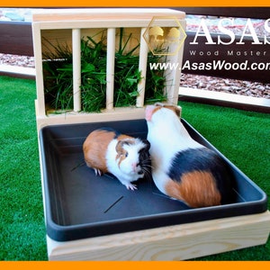 Best Guinea pig hay feeder with litter box, made by AsasWood